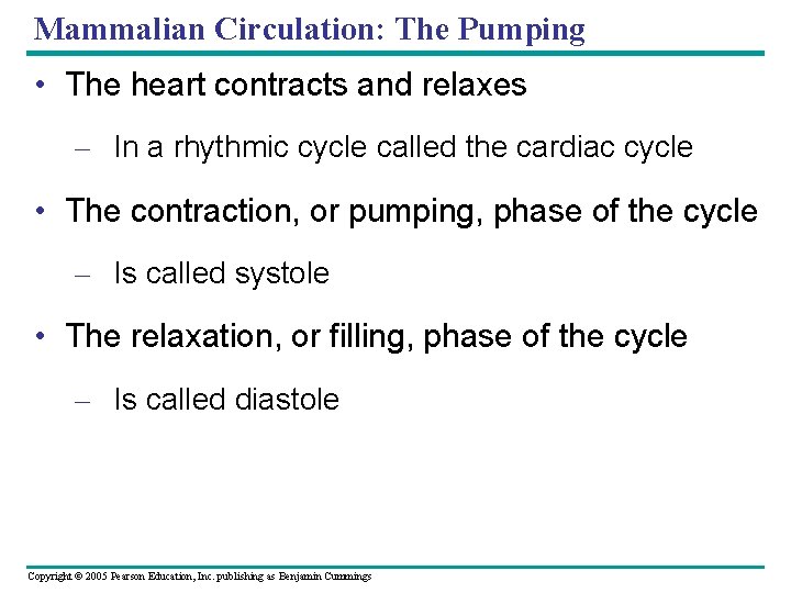 Mammalian Circulation: The Pumping • The heart contracts and relaxes – In a rhythmic