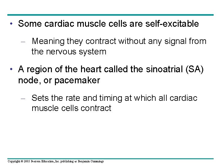  • Some cardiac muscle cells are self-excitable – Meaning they contract without any