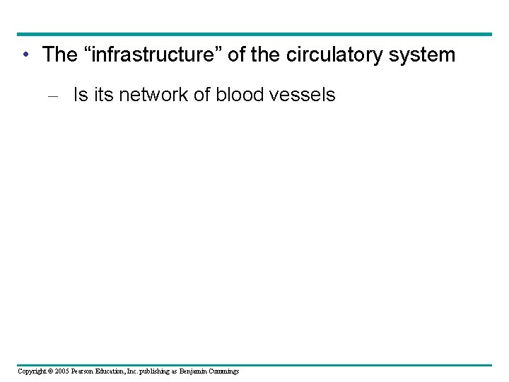  • The “infrastructure” of the circulatory system – Is its network of blood