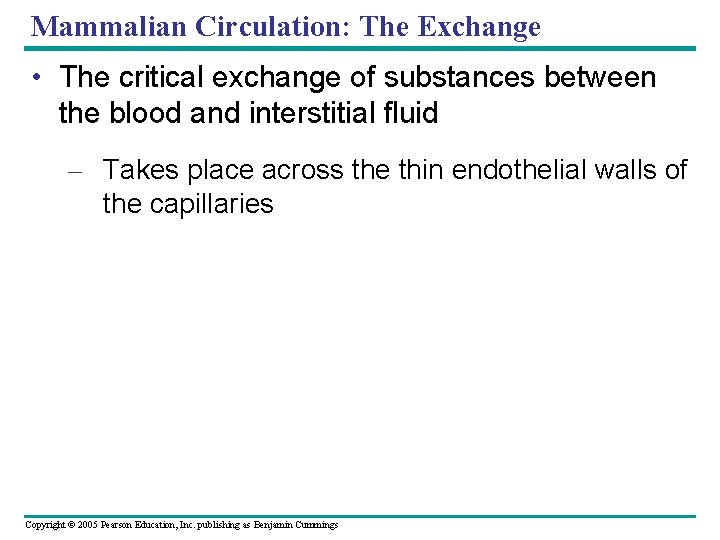 Mammalian Circulation: The Exchange • The critical exchange of substances between the blood and