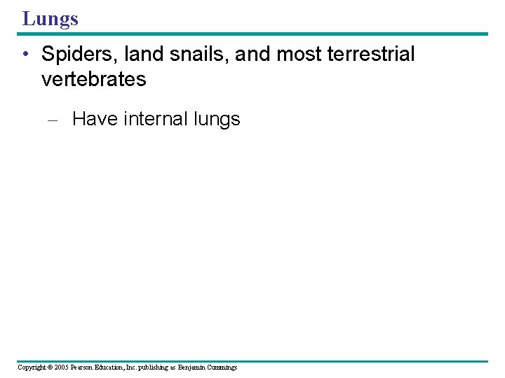 Lungs • Spiders, land snails, and most terrestrial vertebrates – Have internal lungs Copyright