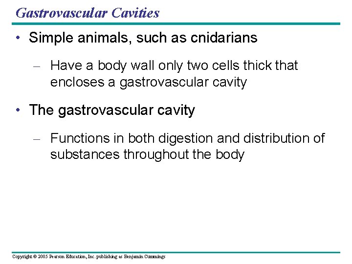 Gastrovascular Cavities • Simple animals, such as cnidarians – Have a body wall only Gastrovascular Cavities • Simple animals, such as cnidarians – Have a body wall only