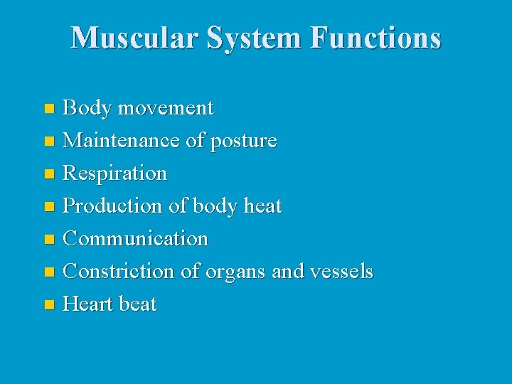 Muscle Physiology Muscular System Functions Body movement n