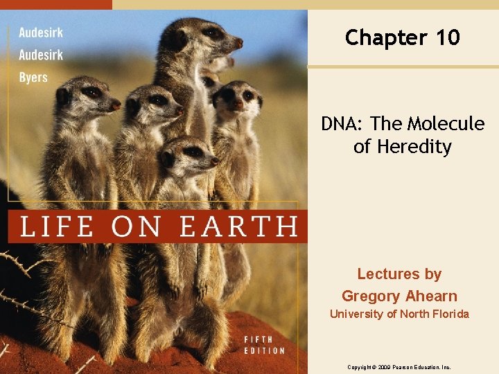 Chapter 10 DNA: The Molecule of Heredity Lectures by Gregory Ahearn University of North