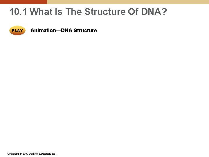 10. 1 What Is The Structure Of DNA? PLAY Animation—DNA Structure Copyright © 2009