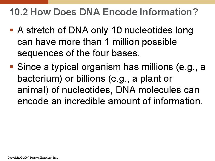 10. 2 How Does DNA Encode Information? § A stretch of DNA only 10