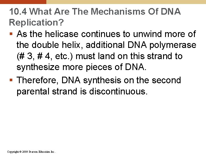 10. 4 What Are The Mechanisms Of DNA Replication? § As the helicase continues