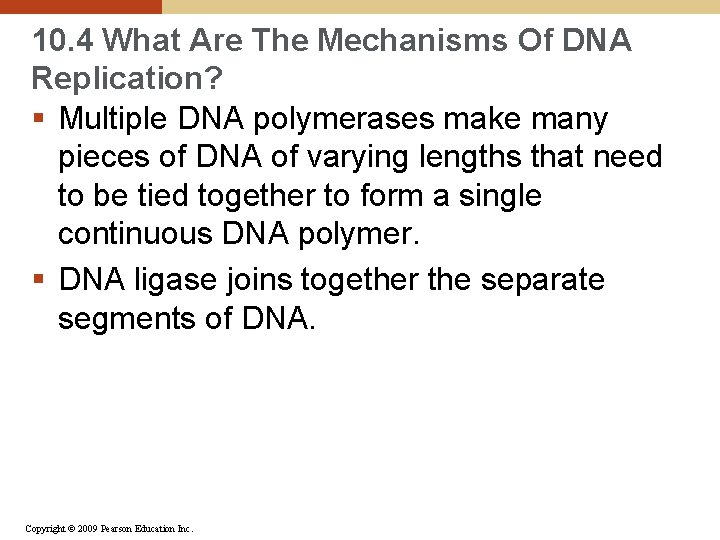 10. 4 What Are The Mechanisms Of DNA Replication? § Multiple DNA polymerases make