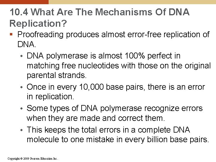 10. 4 What Are The Mechanisms Of DNA Replication? § Proofreading produces almost error-free