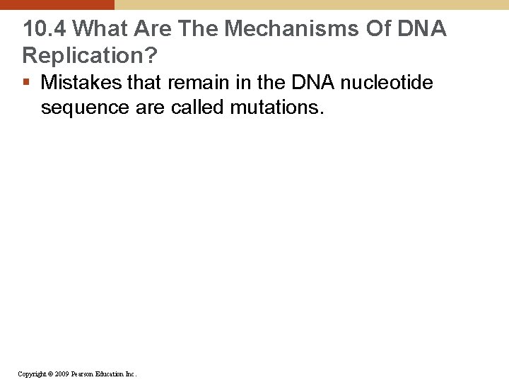 10. 4 What Are The Mechanisms Of DNA Replication? § Mistakes that remain in