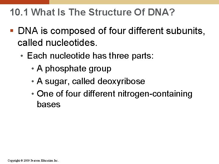 10. 1 What Is The Structure Of DNA? § DNA is composed of four