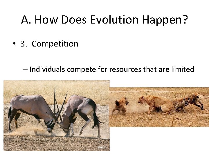 A. How Does Evolution Happen? • 3. Competition – Individuals compete for resources that