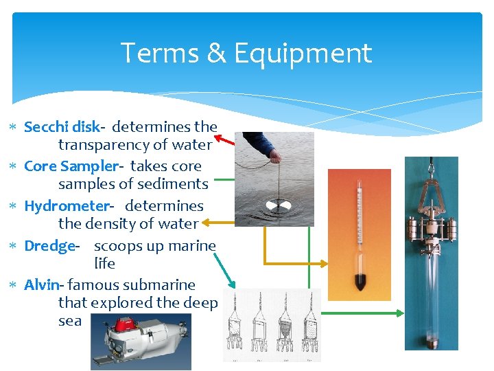 Terms & Equipment Secchi disk- determines the transparency of water Core Sampler- takes core