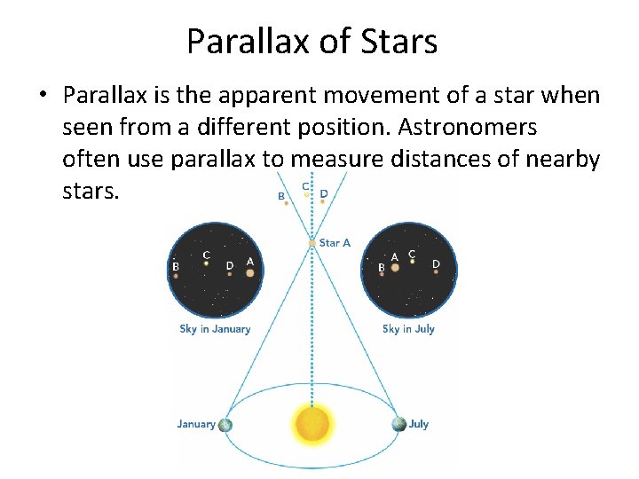 Parallax of Stars • Parallax is the apparent movement of a star when seen