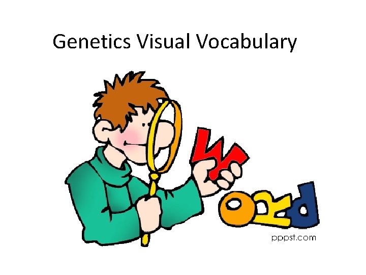 Genetics Visual Vocabulary 