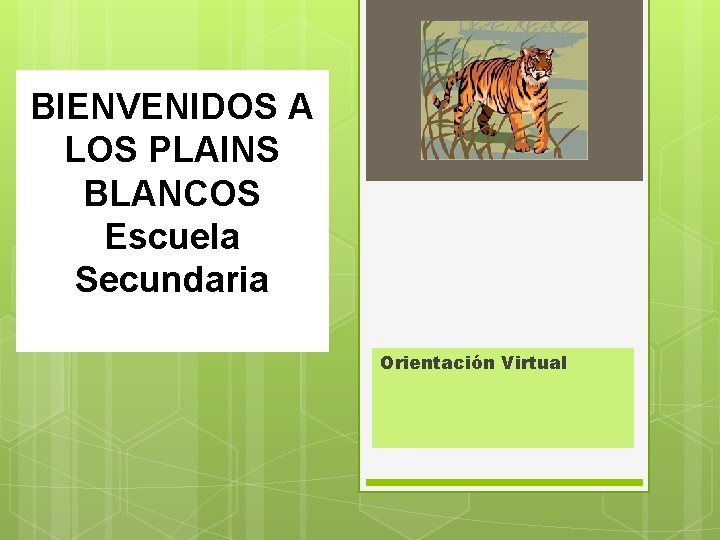 BIENVENIDOS A LOS PLAINS BLANCOS Escuela Secundaria Orientación Virtual 
