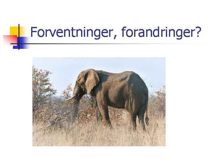 Forventninger, forandringer? 