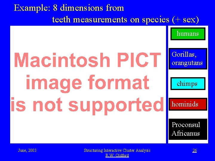 Example: 8 dimensions from teeth measurements on species (+ sex) humans Gorillas, orangutans chimps