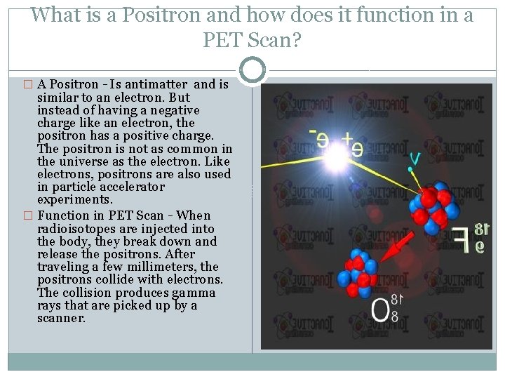 What is a Positron and how does it function in a PET Scan? �
