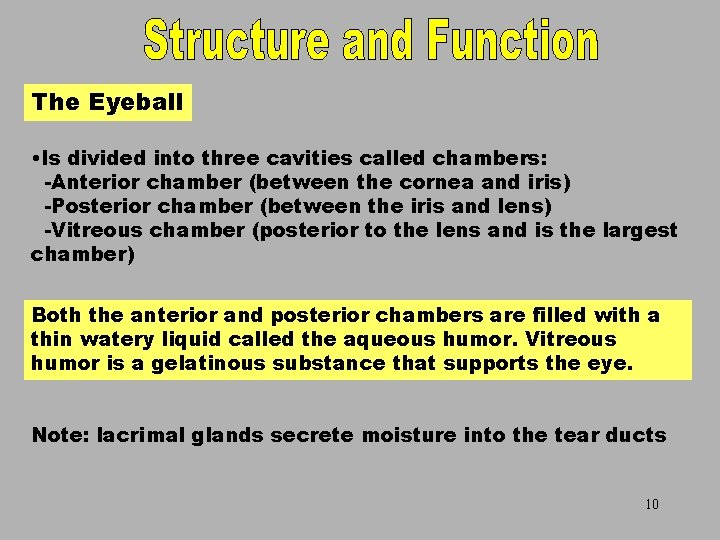 The Eyeball • Is divided into three cavities called chambers: -Anterior chamber (between the