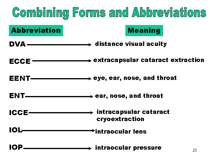 The Sensory System Eye sight Ear hearing Nose