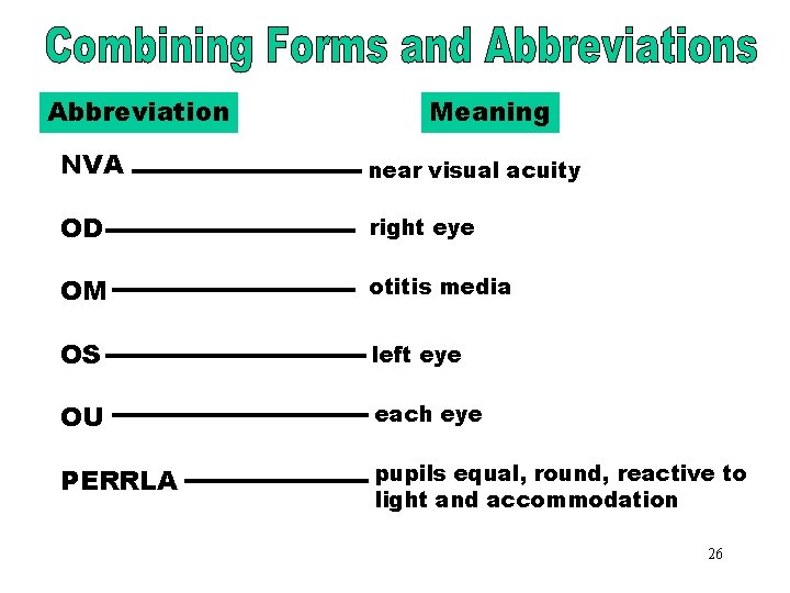 The Sensory System Eye sight Ear hearing Nose