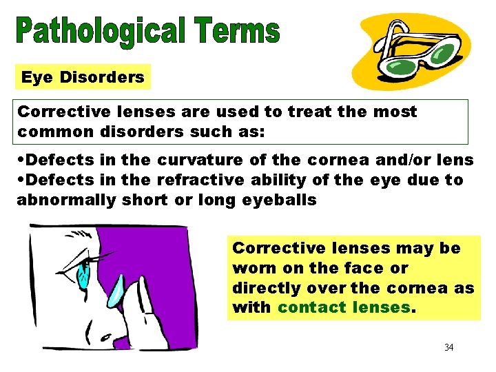 Eye Disorders Corrective lenses are used to treat the most common disorders such as: