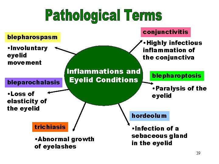 Inflammations & Eyelid conjunctivitis blepharospasm Conditions • Highly infectious • Involuntary eyelid movement inflammation