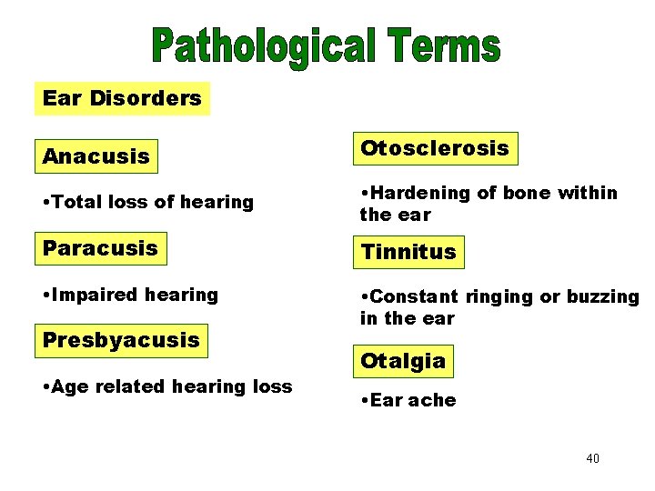 Ear Disorders Anacusis Otosclerosis • Total loss of hearing • Hardening of bone within