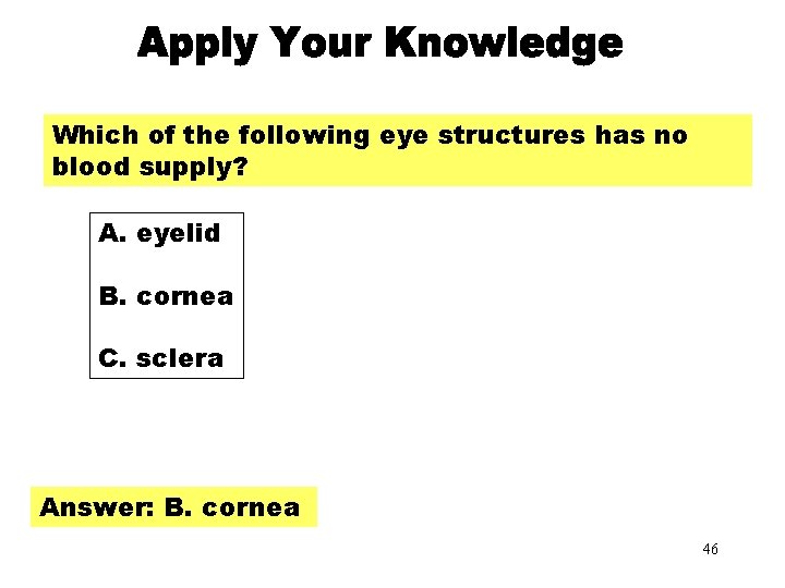 Apply Your Knowledge Part 2 Which of the following eye structures has no blood