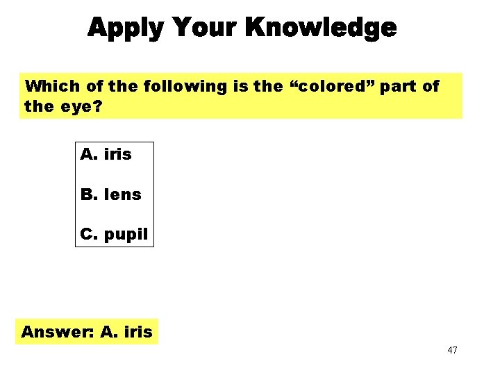 Apply Your Knowledge Part 3 Which of the following is the “colored” part of