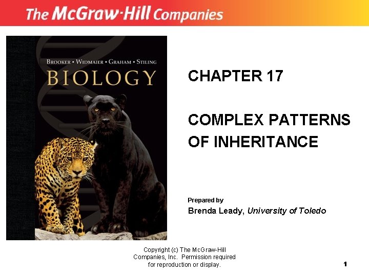 CHAPTER 17 COMPLEX PATTERNS OF INHERITANCE Prepared by Brenda Leady, University of Toledo Copyright
