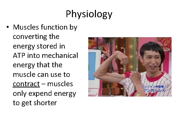 Physiology • Muscles function by converting the energy stored in ATP into mechanical energy