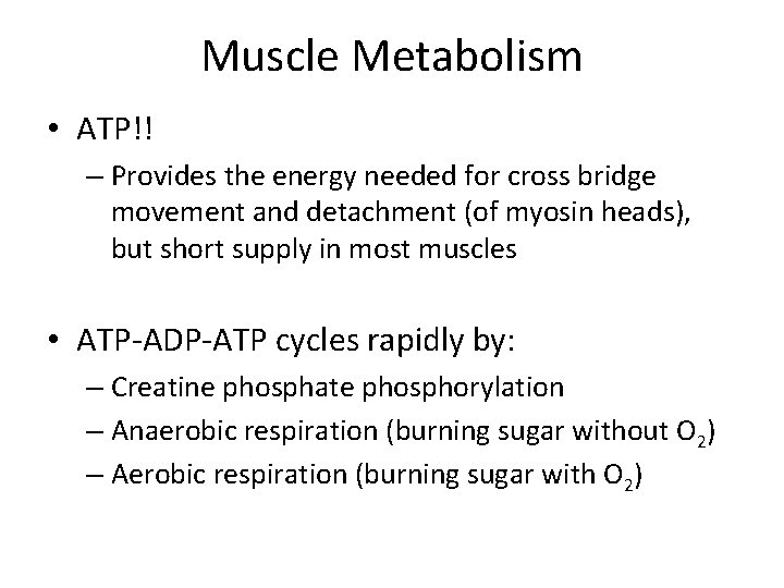 Muscle Metabolism • ATP!! – Provides the energy needed for cross bridge movement and