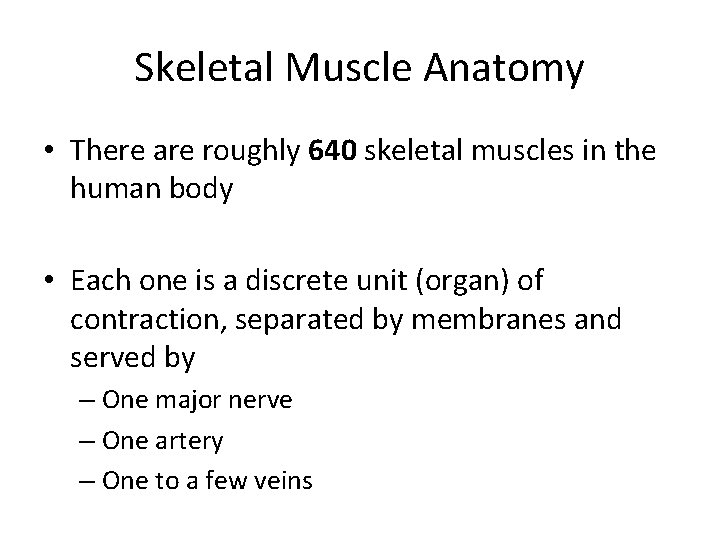 Skeletal Muscle Anatomy • There are roughly 640 skeletal muscles in the human body
