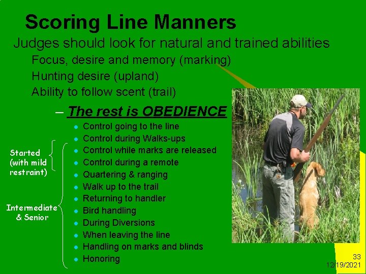 Scoring Line Manners Judges should look for natural and trained abilities Focus, desire and