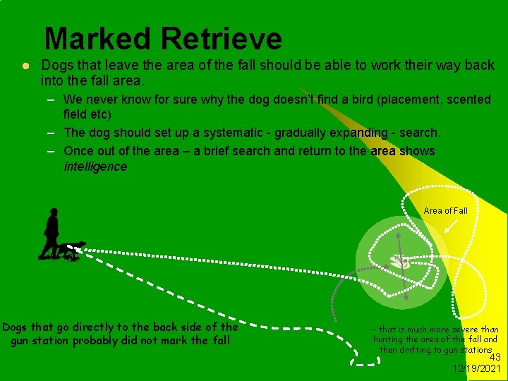 Marked Retrieve l Dogs that leave the area of the fall should be able