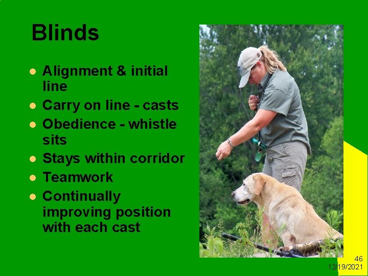 Blinds l l l Alignment & initial line Carry on line - casts Obedience