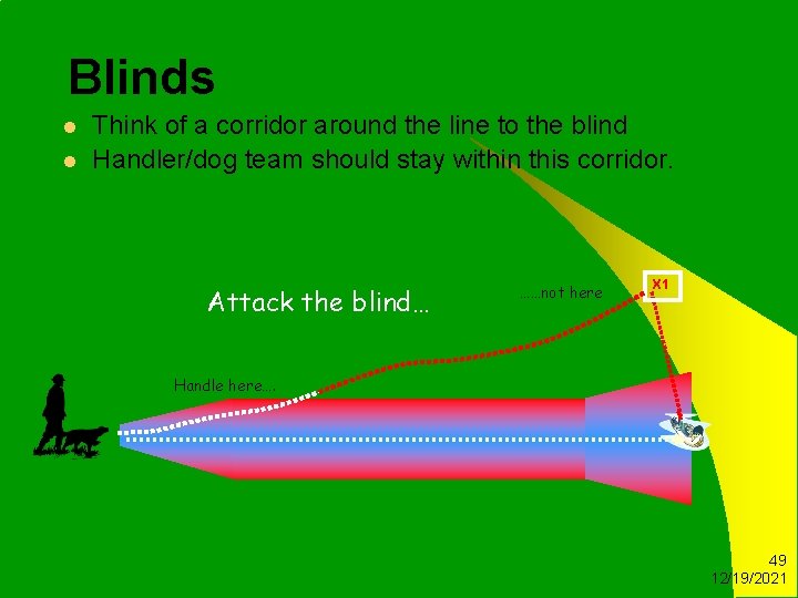 Blinds l l Think of a corridor around the line to the blind Handler/dog