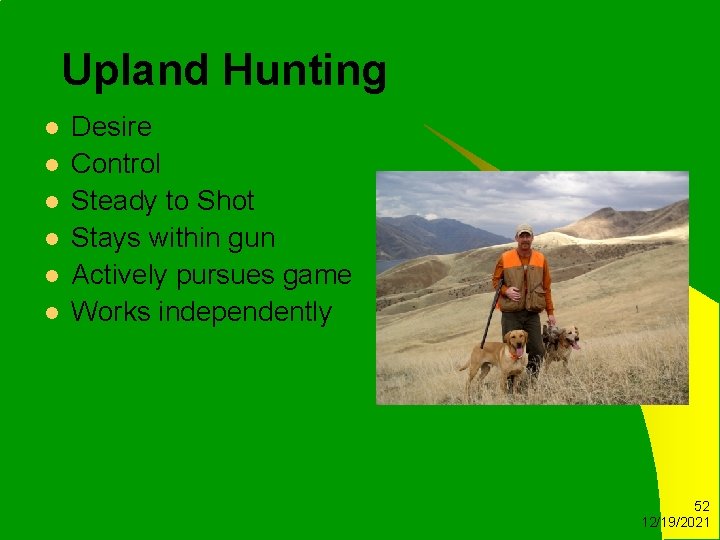 Upland Hunting l l l Desire Control Steady to Shot Stays within gun Actively