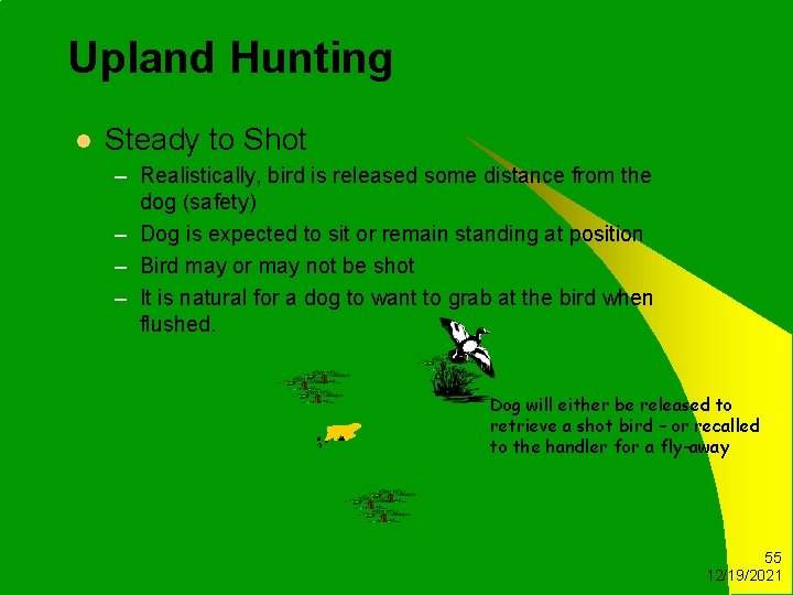 Upland Hunting l Steady to Shot – Realistically, bird is released some distance from