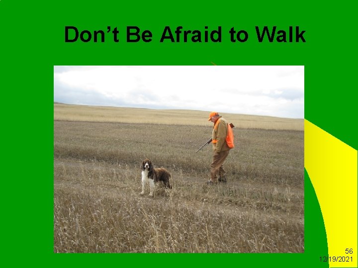 Don’t Be Afraid to Walk 56 12/19/2021 