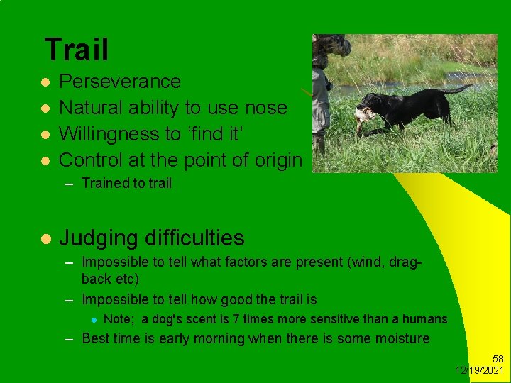 Trail l l Perseverance Natural ability to use nose Willingness to ‘find it’ Control