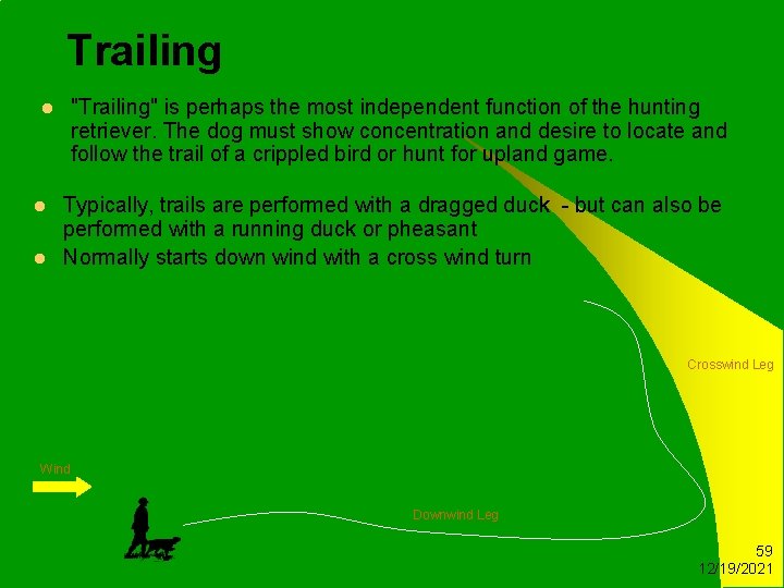 Trailing "Trailing" is perhaps the most independent function of the hunting retriever. The dog