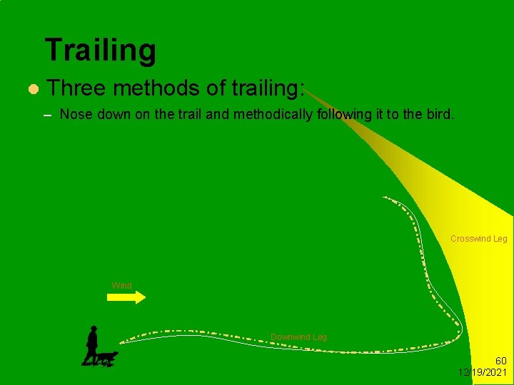 Trailing l Three methods of trailing: – Nose down on the trail and methodically