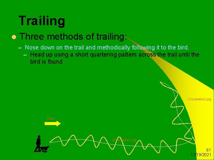 Trailing l Three methods of trailing: – Nose down on the trail and methodically