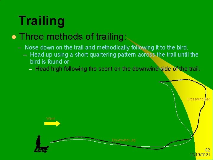 Trailing l Three methods of trailing: – Nose down on the trail and methodically