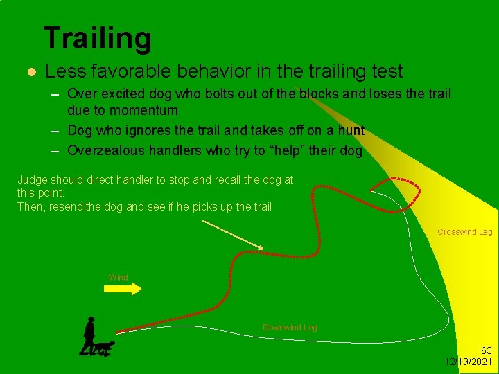 Trailing l Less favorable behavior in the trailing test – Over excited dog who