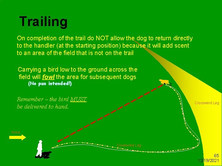 Trailing On completion of the trail do NOT allow the dog to return directly