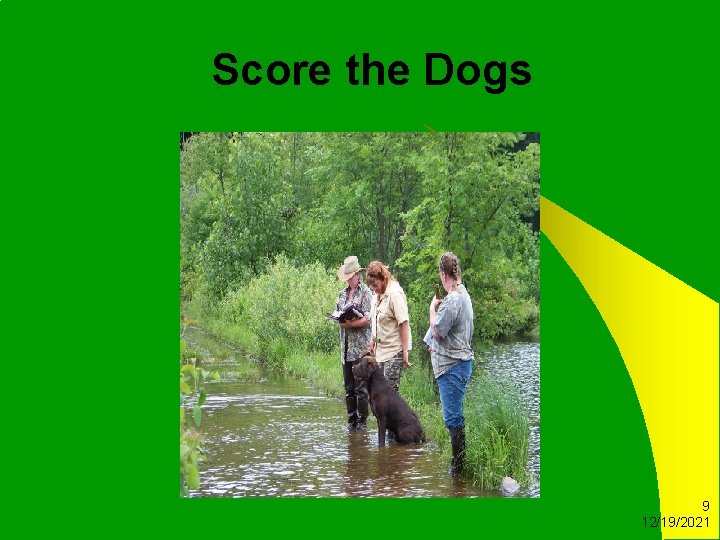 Score the Dogs 9 12/19/2021 